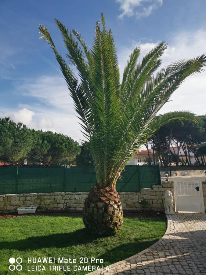 Lala Villa *